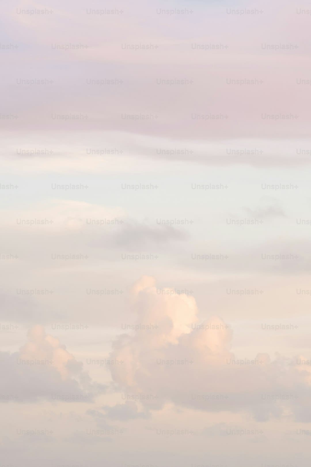 漳浦开渔 千帆竞发赴蓝海